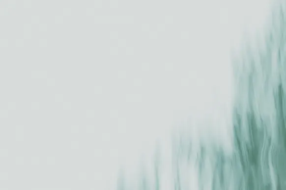 Kasino Wild Tornado Tuki